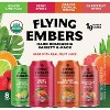 Flying Embers Hard Kombucha Variety - 8pk/12 fl oz Cans - 3 of 4