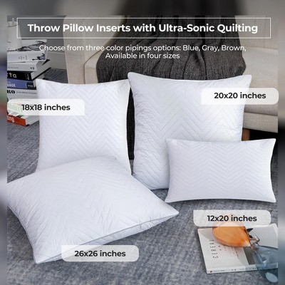 Feather 18 Pillow Insert + Reviews