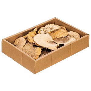 Vickerman Natural Botanicals Dried Assorted 4-6 inch Sponge Mushrooms - 1 of 2