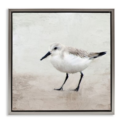 Stupell Industries Lone Sandpiper Bird Portrait, 18" x 18"
