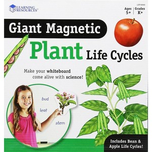 Learning Resources Giant Magnetic Plant Life Cycle - 1 of 4