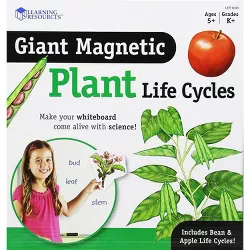 Learning Resources Giant Magnetic Plant Life Cycle, ages 5+