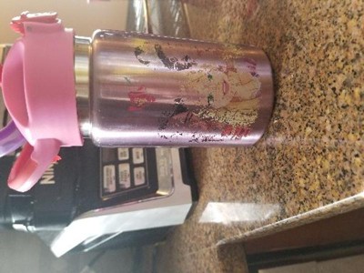 Disney Princess 14oz Stainless Steel Double Wall Valiant Bottle - Zak  Designs : Target