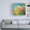 Trademark Fine Art -Danhui Nai 'Painted Daisies' Canvas Art - 2 of 4