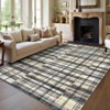 Indoor Modern Area Rugs Retro Striped Plaid Distressed Carpet For Living Room Bedroom Washable Soft Floor Mat Office Home Decor - 3 of 4