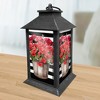 Briarwood Lane Spring Lantern 13.5" x 5.5" x 5.5" Striped Geraniums For Spring Lantern - 2 of 3