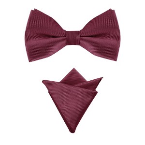 Allegra K Men's Business Causal Matching Pocket Squares Pre-Tied Bow Tie Sets - 1 of 4