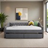 Full Size Upholstered daybed with Two Drawers, Wood Slat Support - Leovsnove - 2 of 4
