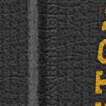 boston bruins