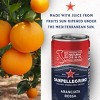 Sanpellegrino Blood Orange Italian Sparkling Beverage - 6pk/11.15 fl oz Cans - 3 of 4