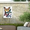 "Butterfly Swatches I" Outdoor Canvas - 4 of 4