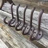 Phiestina Vintage Style Cast Iron Wall Coat Hooks - Brown - 4 of 4