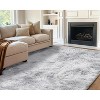 AMERLIFE Area Rug with Shaggy High Pile, Soft Carpet for Living Room and Bedroom - 2 of 4