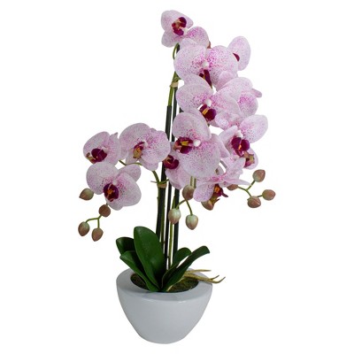 Northlight 21" Pink and White Artificial Orchid Plant in a White Pot