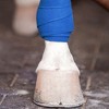 Impresa 12 Pack Self Adherent Bandage Wrap, Sports Cohesive Tape in 6 Color Cohesive Bandage, First Aid Vet Wrap - 4 of 4