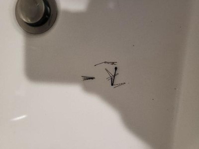 Guest review image 1 of 2, zoom in