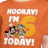 Girls' - Disney - Hooray I'm 6 Today Short Sleeve Graphic T-Shirt - 2 of 4