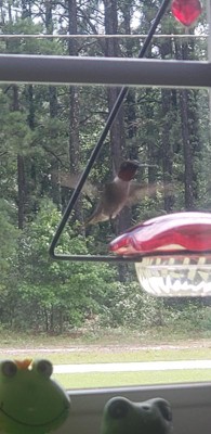 Guest review image 3 of 3, zoom in