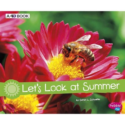 Let's Look at Summer - (Investigate the Seasons) by  Sarah L Schuette (Hardcover)