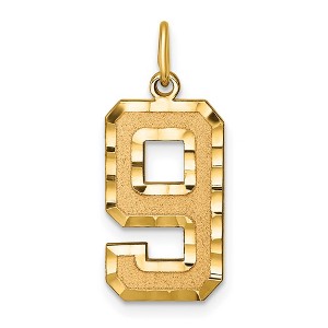Black Bow Jewelry 14k Yellow Gold, Varsity Collection, Large D/C Pendant Number 9 - 1 of 4