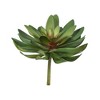 Vickerman 6" Artificial Assorted Succulent Picks, Set of 3 - 2 of 4