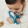 Miniland Feel to Learn: Crinkly Sensory Paper, Sea Lion - 3 of 4