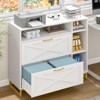 Lateral File Cabinet with 2 Drawers and Open Shelves, Wood Large Printer Stand, White - 3 of 4