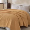 50"x60" Cotton Waffle Knit Throw Blanket - Isla Jade - 3 of 4