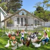 Large Metal Chicken Coop, Walk-in Poultry Chicken Hen cage, Spire Shaped Rabbits Duck Cage for Outdoor Yard Farm Use, 9.8 X 6.5 X 6.5FT - 4 of 4