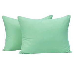 2 Pack Brushed Microfiber Zippered Toddler Pillowcases, Super Soft and Cozy Travel Pillow Cases - NTBAY - 1 of 4