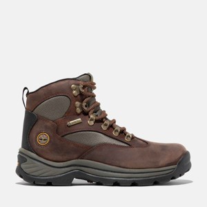 Timberland Women's Chocorua Waterproof Hiking Boot - 1 of 4