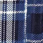 blue and white plaid