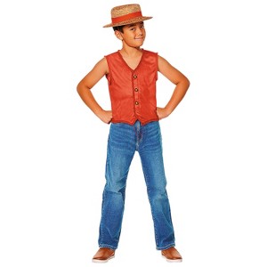 One Piece Kids' Monkey D. Luffy Halloween Costume Set 2pc - 1 of 1