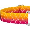 Country Brook Petz Martingale Dog Collar - Abstract Collection - 4 of 4