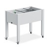 Chic Crate - Srushti Raised Garden Bed with Wheels for Indoor & Outdoor - 2 of 4
