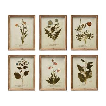 Storied Home (Set of 6) Wood Framed Portraits of Botanical Wall Art Set