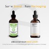 SuperSmart Adaptogenic Potion - 10-in-1 Complex - Herbs & Mushrooms Extract - with Astragalus, Reishi, Cordyceps | Non-GMO & Gluten Free - 120 ml - 2 of 4
