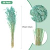 Unique Bargains Dried Grass Chasmanthium Oat Home Decor Flower Bouquet 1 Pc - 3 of 4