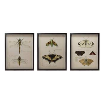 Storied Home (Set of 3) Insect Wood Framed Wall Art Set Portrait