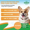 Beloved Pets Oral Flea & Tick Support Multivitamin Supplement for Dogs & Cats, 2 Oz - 1 Pack - 2 of 4