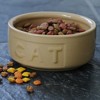 Mason Cash: Cane Cat Bowl, 5.2", 13.5oz, Tan Food & Water Feeding Dish - 4 of 4
