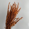 Alilang Decorative Dried Greenery Stems for Home Decoration and Floral Arrangements, 17.7 Inches - 3 of 3