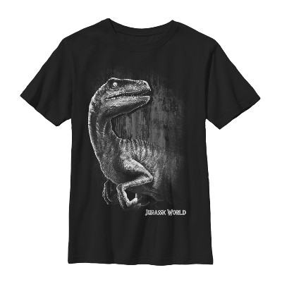 Boy's Jurassic World Sly Velociraptor T-shirt - Black - Medium : Target