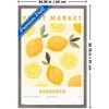 Trends International Reinders: Fruit Market - Sorrento Lemons Framed Wall Poster Prints - 3 of 4