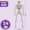 Joyfy 24'' Halloween Skeleton Decorations with LED Glowing Eyes Full Body Posable for Indoor/Outdoor Decor Spooky Scene Party Favors Graveyard Props - 4 of 4