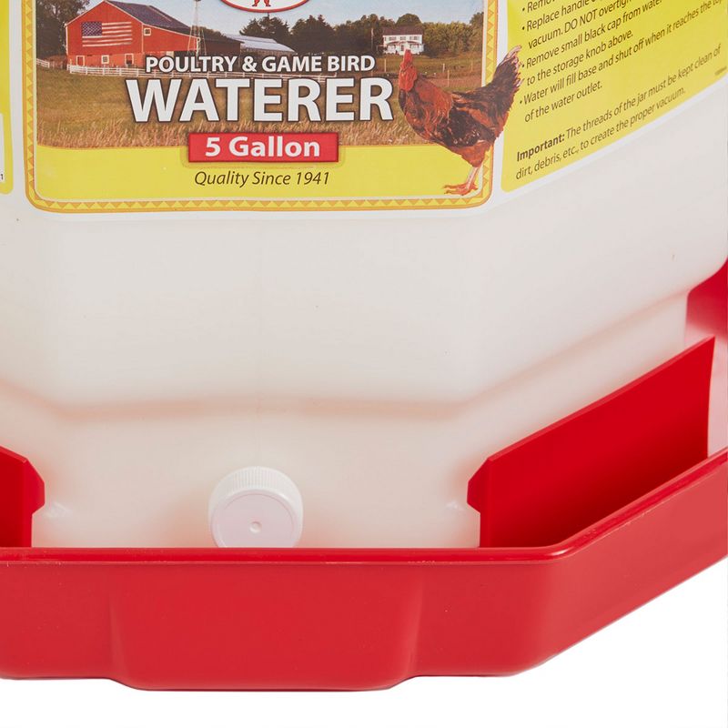 Little Giant PPF5 5 Gallon Capacity Hanging Automatic Poultry Waterer Dispenser for Chickens and Game Birds, Red, 4 of 6