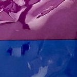 assorted (beef & chicken)