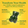 Grüns Kids' Low Sugar Superfoods Greens Gummies - 96ct/12 Servings - 4 of 4