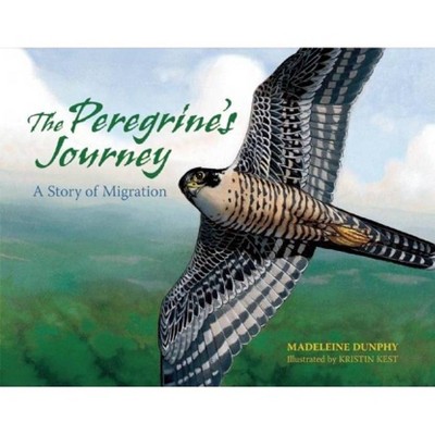 The Peregrine's Journey - (A Story of Migration) by  Madeleine Dunphy (Paperback)