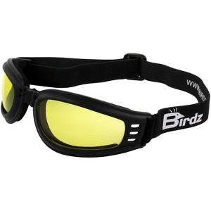 Birdz Eyewear Cardinal Safety Goggles - 1 of 4